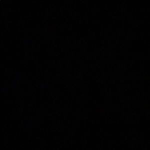 Meet your Posher, Logan